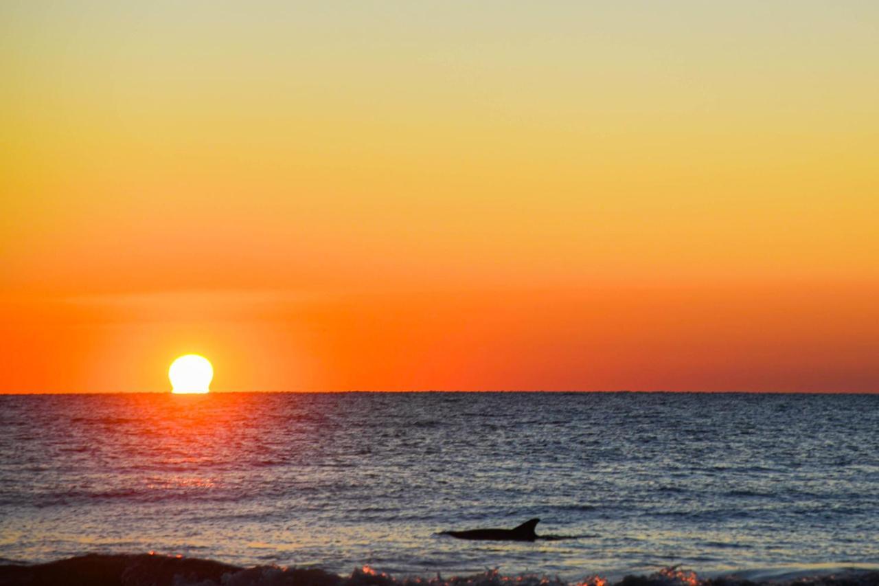 Apartamento Sea Cloisters 409 Hilton Head Island Exterior foto